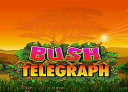 BushTelegraph