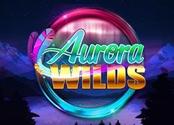 MGAuroraWilds