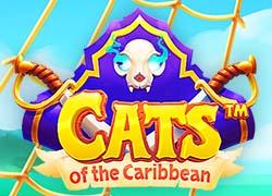 Cats of the Caribbean