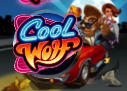 MGCoolWolf