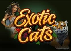 MGExoticCats