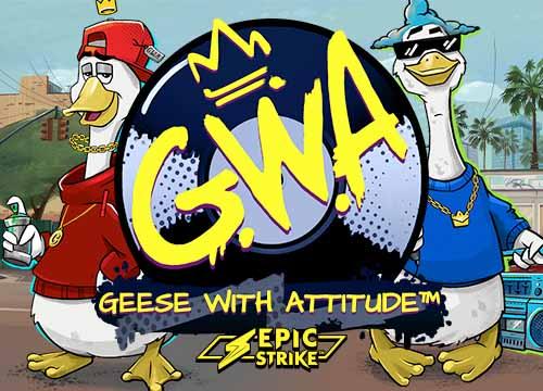 MGGeeseWithAttitude