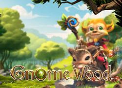 MGGnomeWood