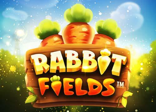 MGRabbitFields