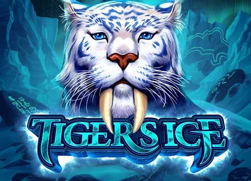MGTigersIce
