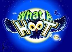 MGWhataHootV94