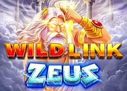MGWildLinkZeus
