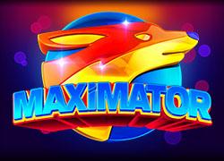 SWMaximator