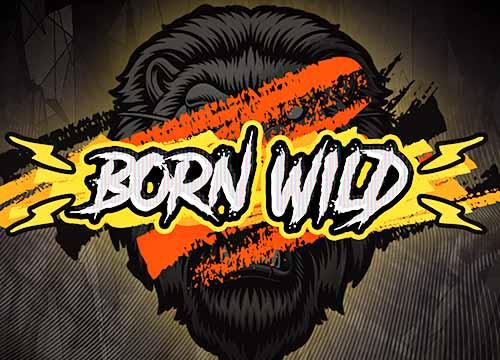 RGBornWild