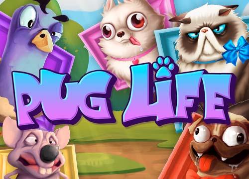 RGPugLife