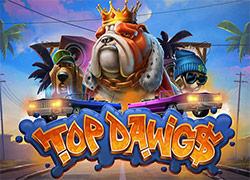 Top Dawg$