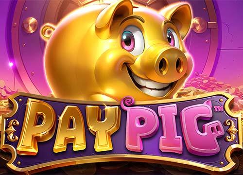 OGSPayPig