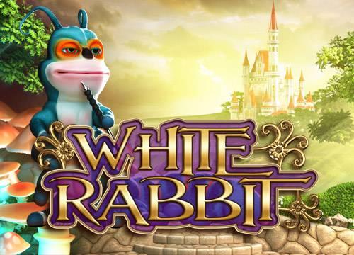 EVBGWhiteRabbit