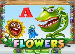 EVNEFlowers