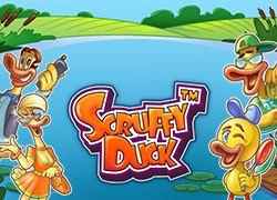 EVNEScruffyDuck