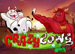 CrazyCowsmobile