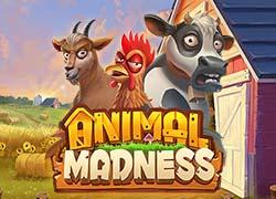 PGAnimalMadness
