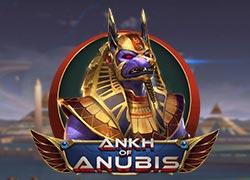 PGAnkhofAnubis