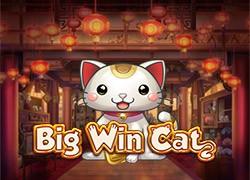 PGBigWinCatMobile