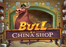 PGBullInAChinaShop