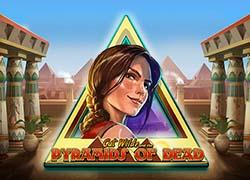 PGCatWildPyramidsDead