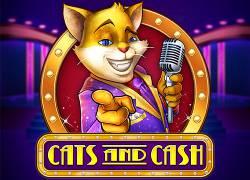 PGCatsAndCash