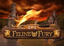 PGFelineFury