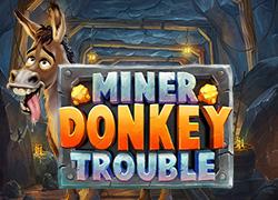 PGMinerDonkeyTrouble