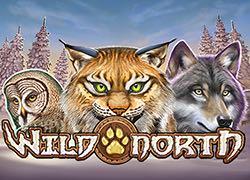 PGWildNorthmobile