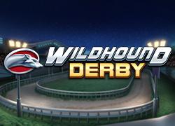 PGWildhoundDerby