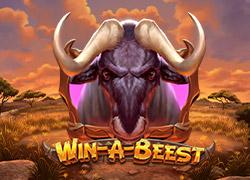 PGWinABeest