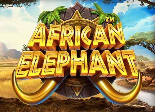 African Elephant