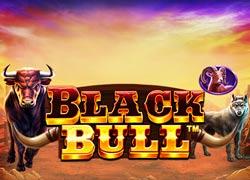 PPBlackBull