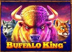 PPBuffaloKing