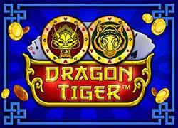 PPDragonTiger