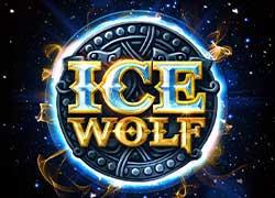 ELKIceWolf