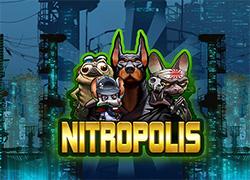 ELKNitropolis