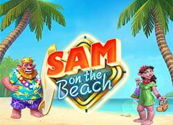 Sam On The Beach