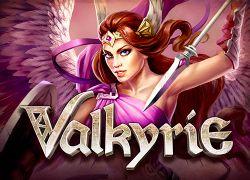 ELKValkyrie