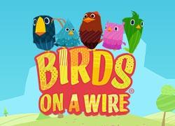 TKBirdsOnAWire