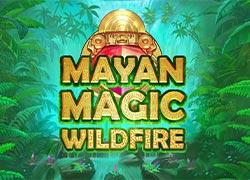 NCMayanMagic