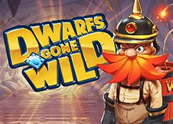 QSDwarfsGoneWild