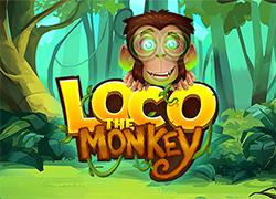 QSLocoTheMonkey