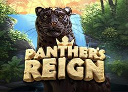 QSPanthersReign
