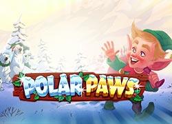 QSPolarPaws