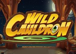 QSWildCauldron