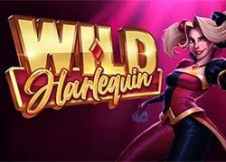 QSWildHarlequin