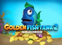 YGGoldenFishTank2