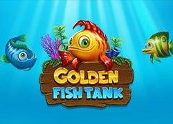 Golden Fish Tank