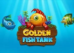 YGGoldenFishtank